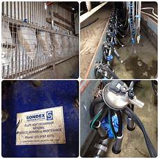 Milking Engines