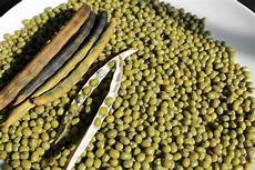 Mung Bean