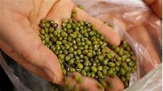 Mung Beans