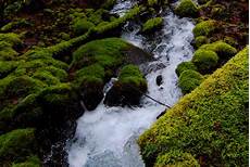 Natural Spring Water 1 Lt