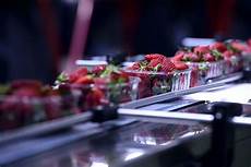 Non-Food Filling Machine