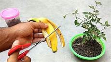 Npk Liquid Fertilizers