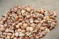 Nut Supplier