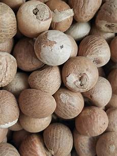 Nut