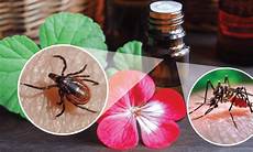 Oil Repellents