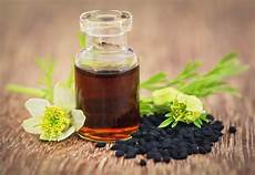 Oil Seed