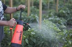 Organic Liquid Fertilizer