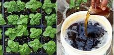 Organic Liquid Fertilizers