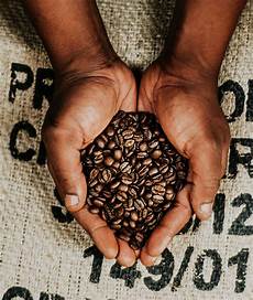Origin Coffee Bean