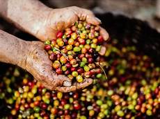 Origin Coffees