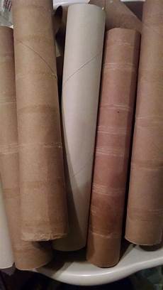Paper Towel Rolls