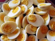 Pasteurized Liquid Egg