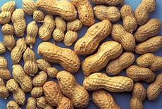 Peanut