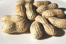 Peanut