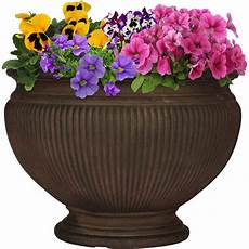 Pot