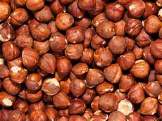 Raw Hazelnut