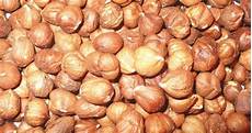 Raw Hazelnut