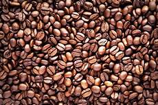 Robusta Coffee Beans