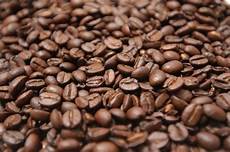 Robusta Coffee Beans