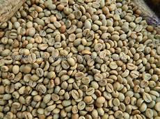 Robusta Coffee Beans