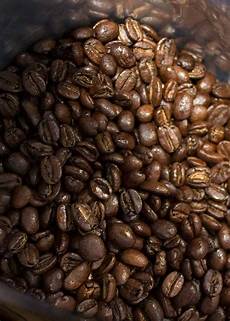 Robusta Coffee