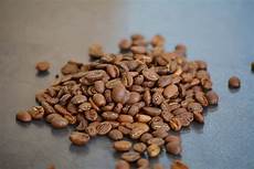Robusta Coffee