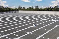 Roof Mastic