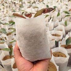 Seedling Bag