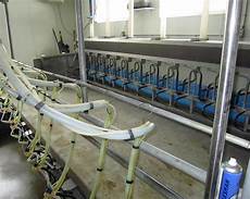 Sheep Milking Equipments
