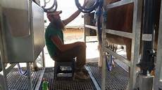 Sheepm Milking Systems