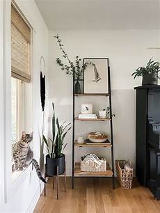 Shelf Decoration Systems