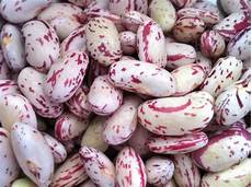 Shell Beans