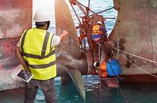 Ship Repair Service