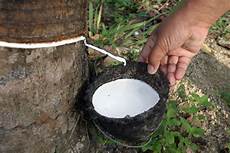 Sieve Glue
