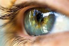 Sight