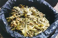 Silage Bag