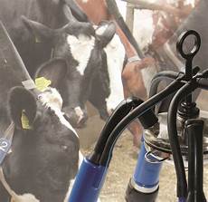 Single Milking Systems