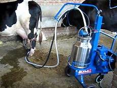 Single Milking Systems