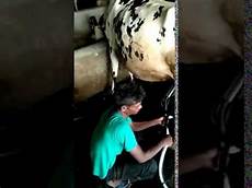 Single Milking Systems