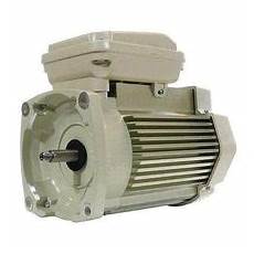Single Speed Motors
