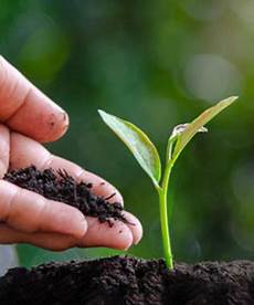 Special Liquid Fertilizers