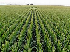 Special Liquid Fertilizers