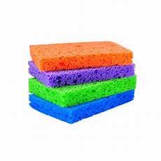 Sponge