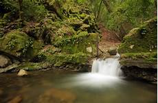 Spring Water