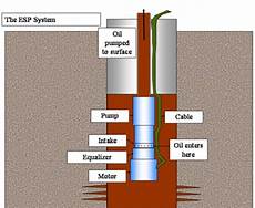 Submerged Pumps