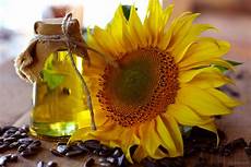 Sunflower Seed
