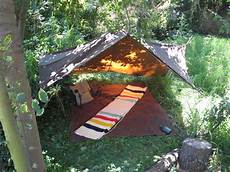 Tarp