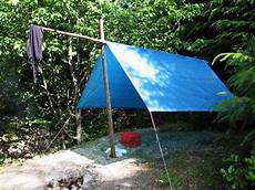 Tarp