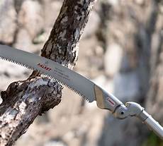Telescopic Saw