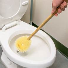 Toilet Brushes
